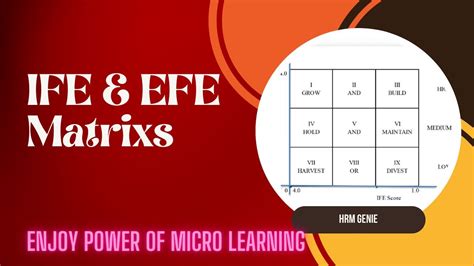 IFE & EFE Matrix explained 